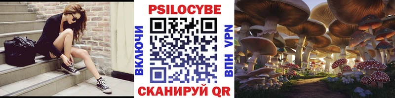Псилоцибиновые грибы ЛСД  ссылка на мегу сайт  сайты даркнета наркотические препараты  Мариинск 